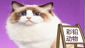 32c2cc88b853bb0808edf75768ac58216fc92251.jpg@280w_158h_1c_100q.jpg