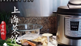 Instant Pot Recipes in Chinese: 10 Delicious and Easy-to-Make Dishes