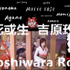 死或生-吉原玫瑰Yoshiwara Rose