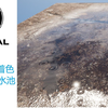 UE5材质：顶点着色+水滴涟漪和波纹，做可调节的雨天水坑