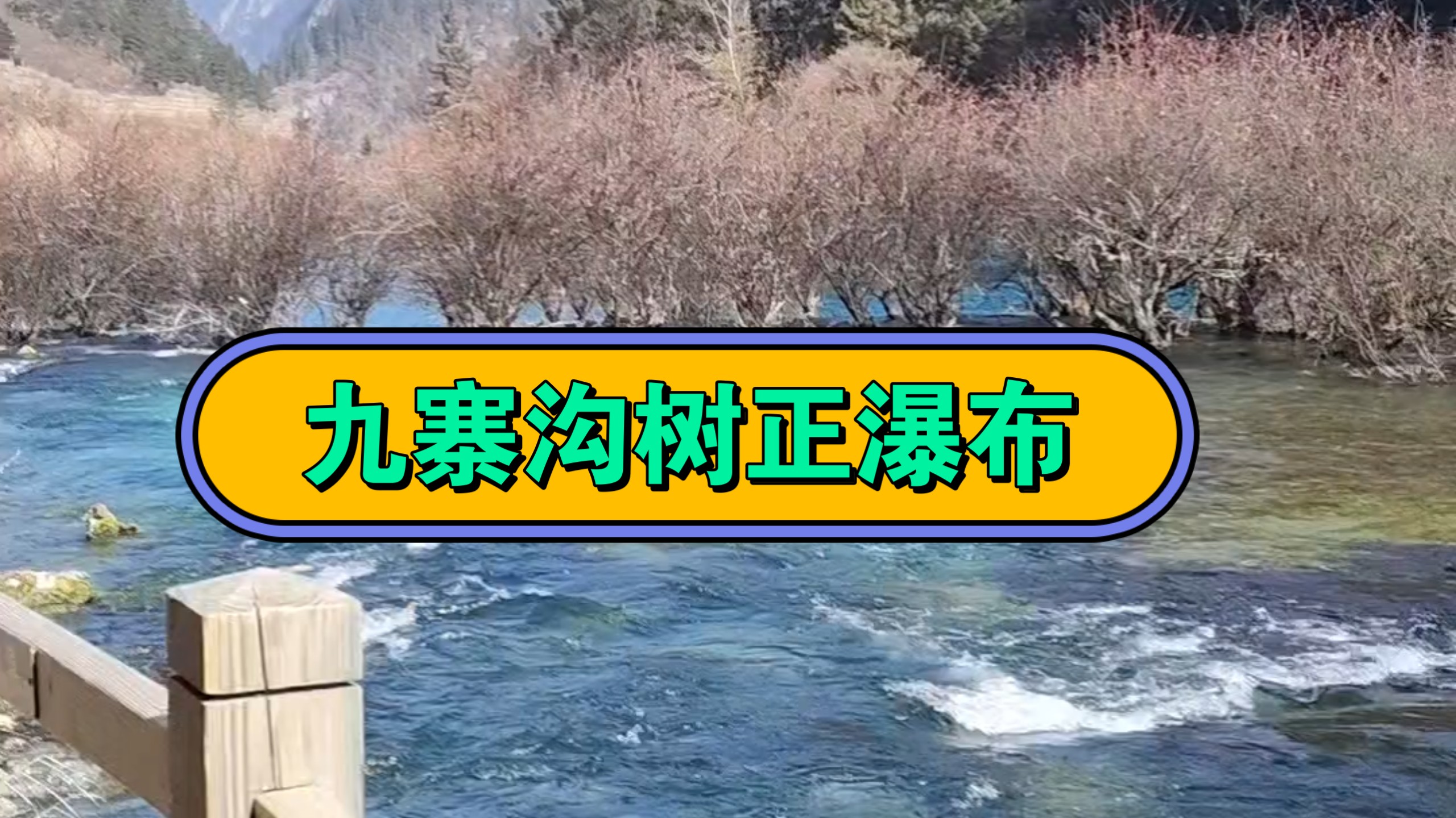 九寨沟树正瀑布