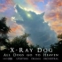 【纯音乐】The Miracle Mile-X-Ray Dog