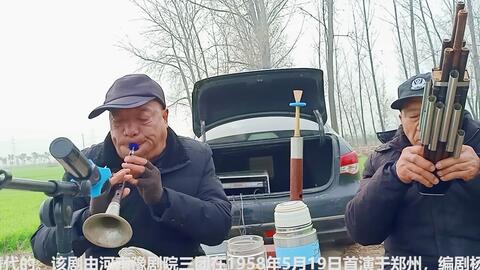 河南豫剧秦雪梅吊孝哭灵,河南豫剧秦雪梅吊孝哭灵龙儿演唱带字