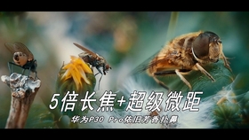 332ac8351cddf116be882c5870731d3c43f1bbc2.jpg@280w_158h_1c_100q.jpg