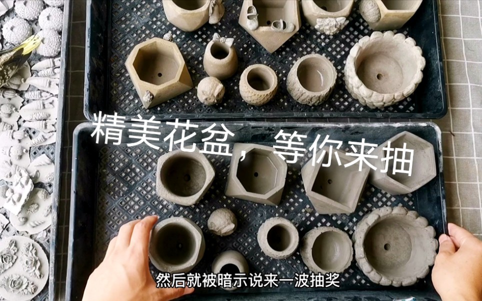 最佳评论：花盆福利，六套精美花盆已备好，只等你们来抽了[一阶段]的第1张示图
