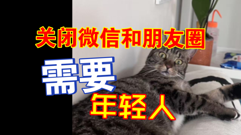 年轻人需要关闭微信和朋友玩 破解信息茧房扩大信息获取渠道！