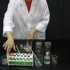 广东中考化学实验视频（共12个）