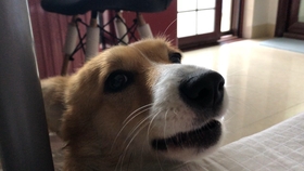 337ef108351f4d80c513ac42006c3922a7c53e62.jpg@280w_158h_1c_100q.jpg