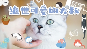 3386cf7ec65750f77a87efc257199ca4b648ddbb.jpg@280w_158h_1c_100q.jpg