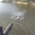 在直升机使用fnfal步枪射击一群过河的野猪，全威力弹表现惊人