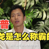 【王昱珩】01恐龙是怎么称霸一时的（上