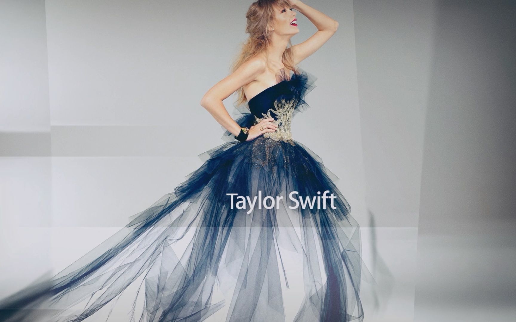 taylorswiftinvisible商务风格的立体图集展示