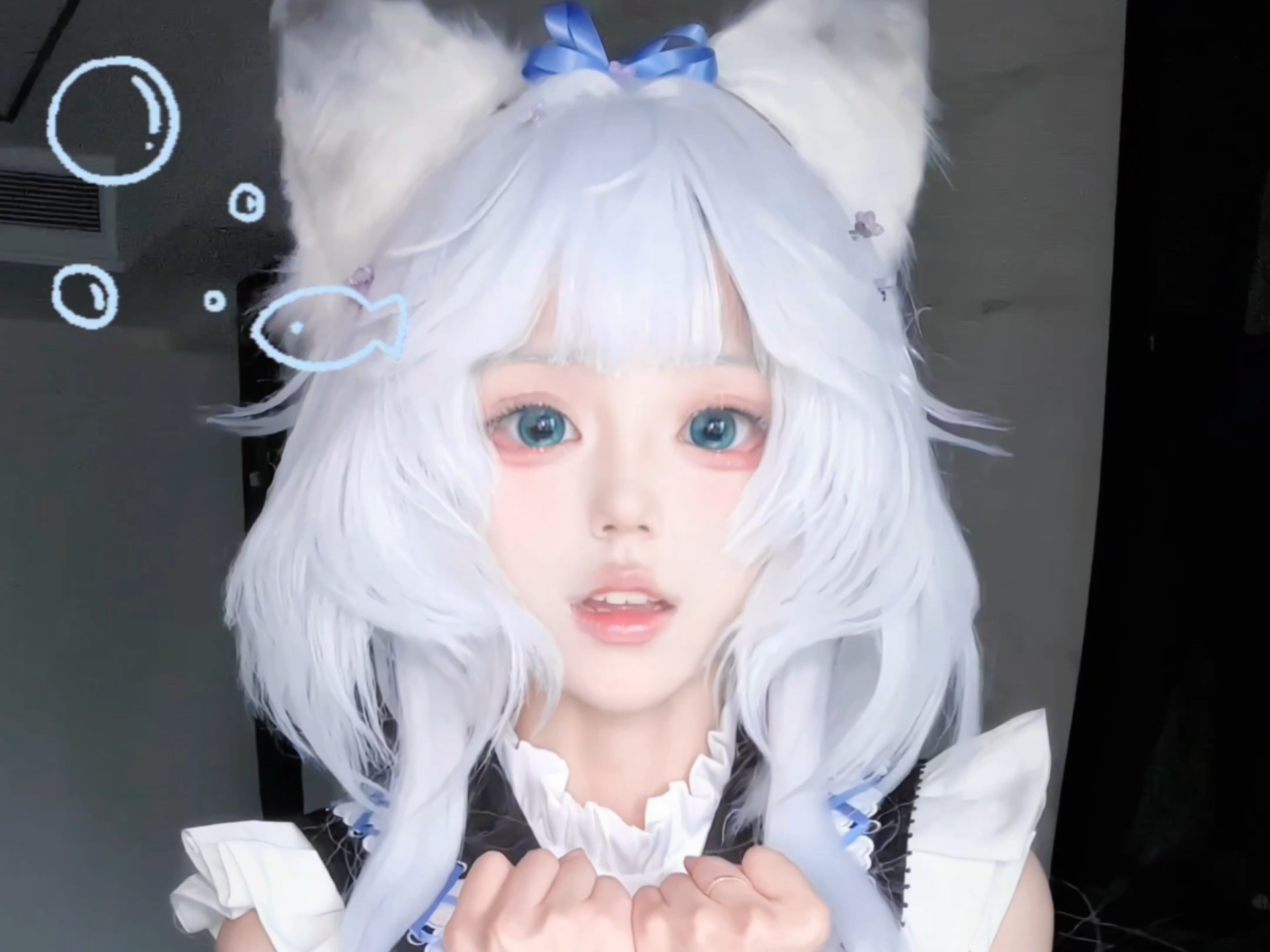 小猫