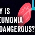 为什么肺炎危害大？