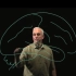Learn Medical Neuroscience网站使用方法