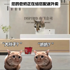 您的暴躁老奶正在给您配送外卖
