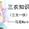 三农知识（三支一扶）——马克mark