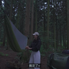 【治愈系露营】Solo Camp 单人露营，独自森林摩托露营享受大自然