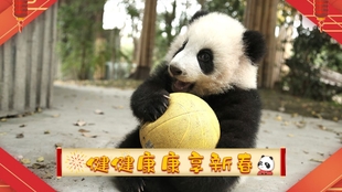 34099f98481f7b36f4dbe86f1200cbc0c93ea350.jpg@310w_174h_1c_100q.jpg