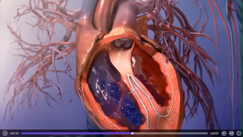 心脏就像一个泵，每一次心动周期，心脏就完成一次收缩和舒张，舒张时将静脉血泵入心室，收缩时再将心室内的血泵入大动脉。