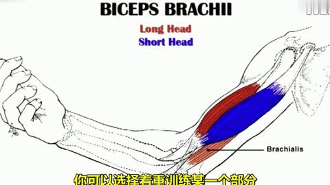 3412a39d521606ad1418ab0f7787dce7c2eb6b46.jpg@480w_270h_1c