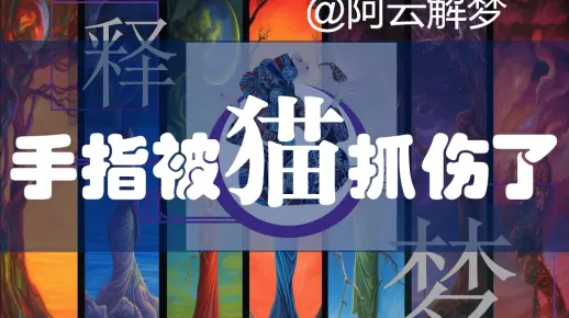 梦回六楼，解读手指被猫咬的奇异梦境