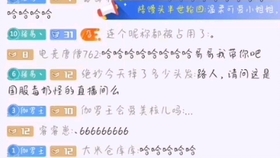 王哥简谱跟唱_跟我唱简谱(3)