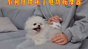 34461be479f4a9c5de2adf4cd7b5de7f951d4750.jpg@280w_158h_1c_100q.jpg