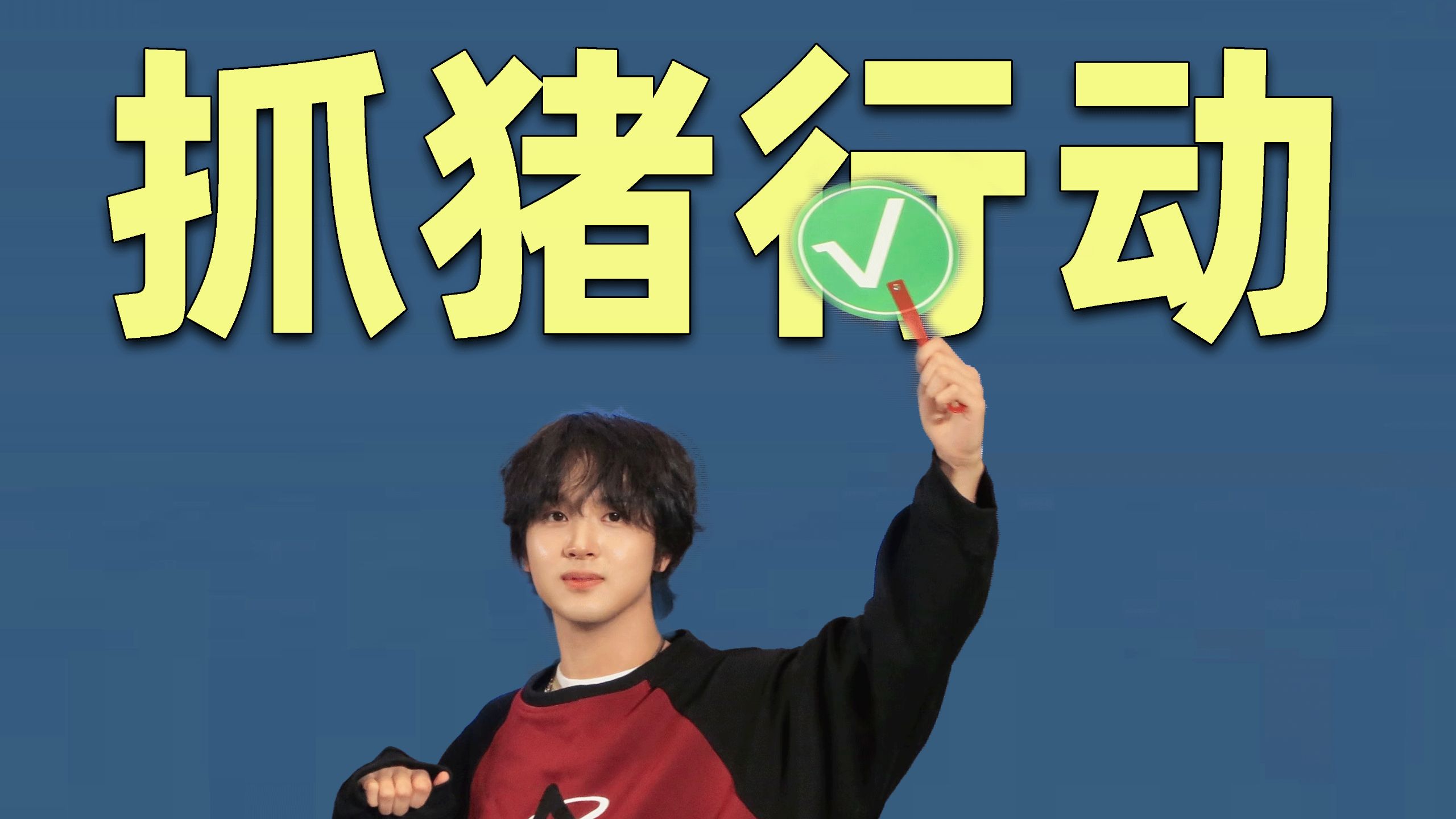 【吃瓜sp】火爆整个韩娱的“抓猪行动”完整复盘！粉丝组织力堪比fbi跨国追捕。
