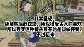 349cd736c708e4c9f40a4724026c3e5d3498e392.jpg@280w_158h_1c_100q.jpg