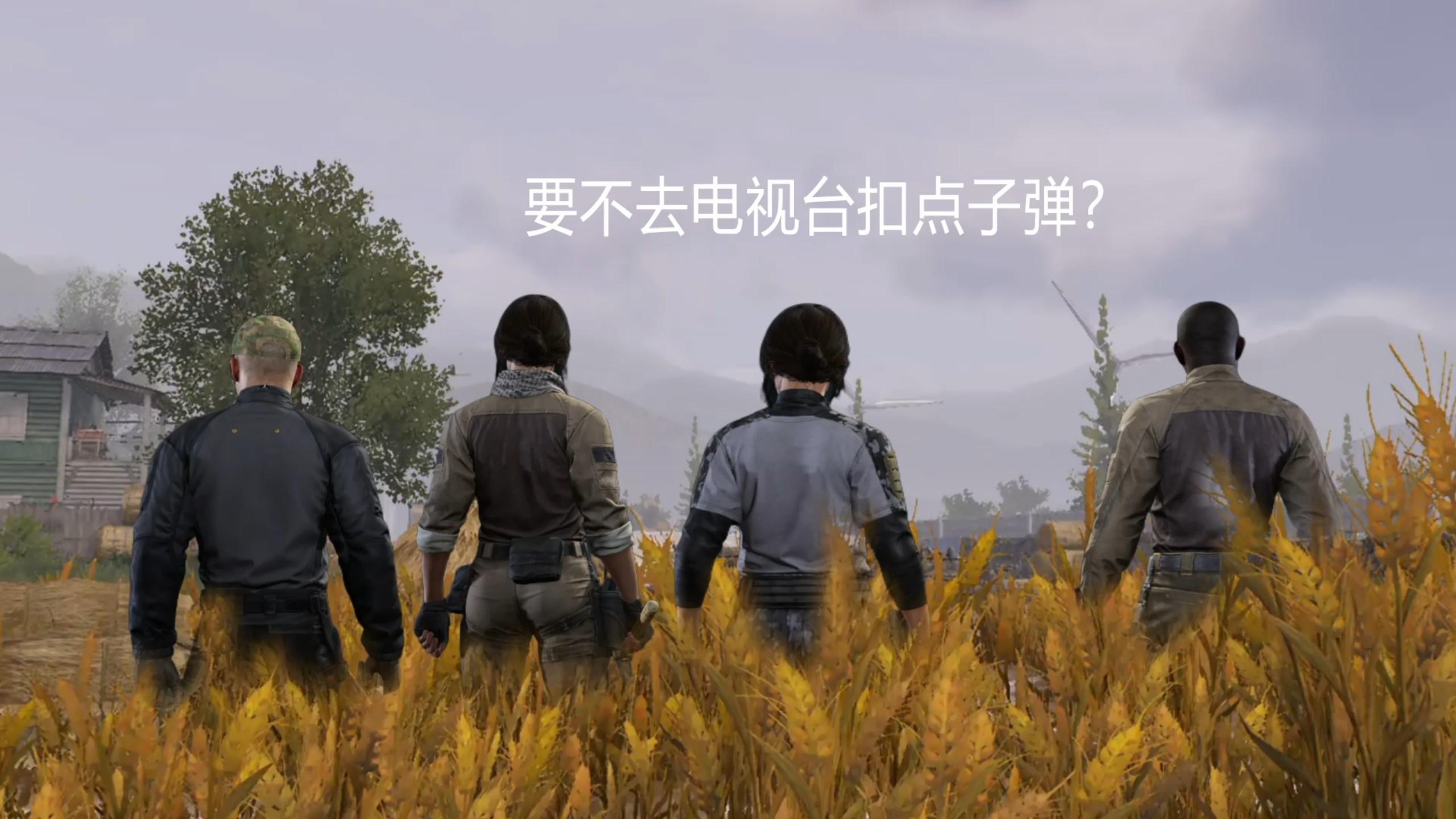 那年夏天的卡莫纳