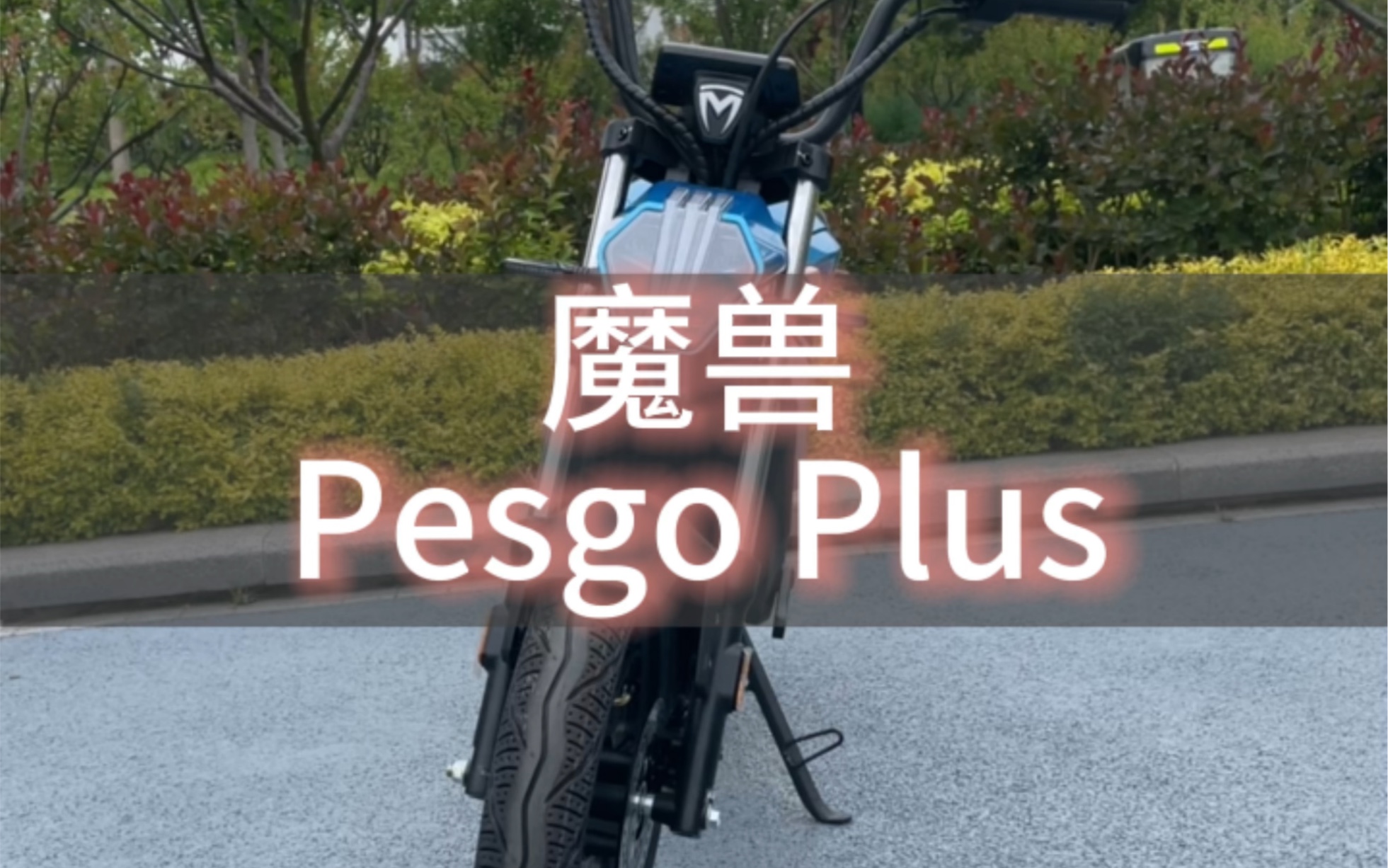 摩兽电动车摩兽电瓶车PesgoPlus跨骑电动车非电摩