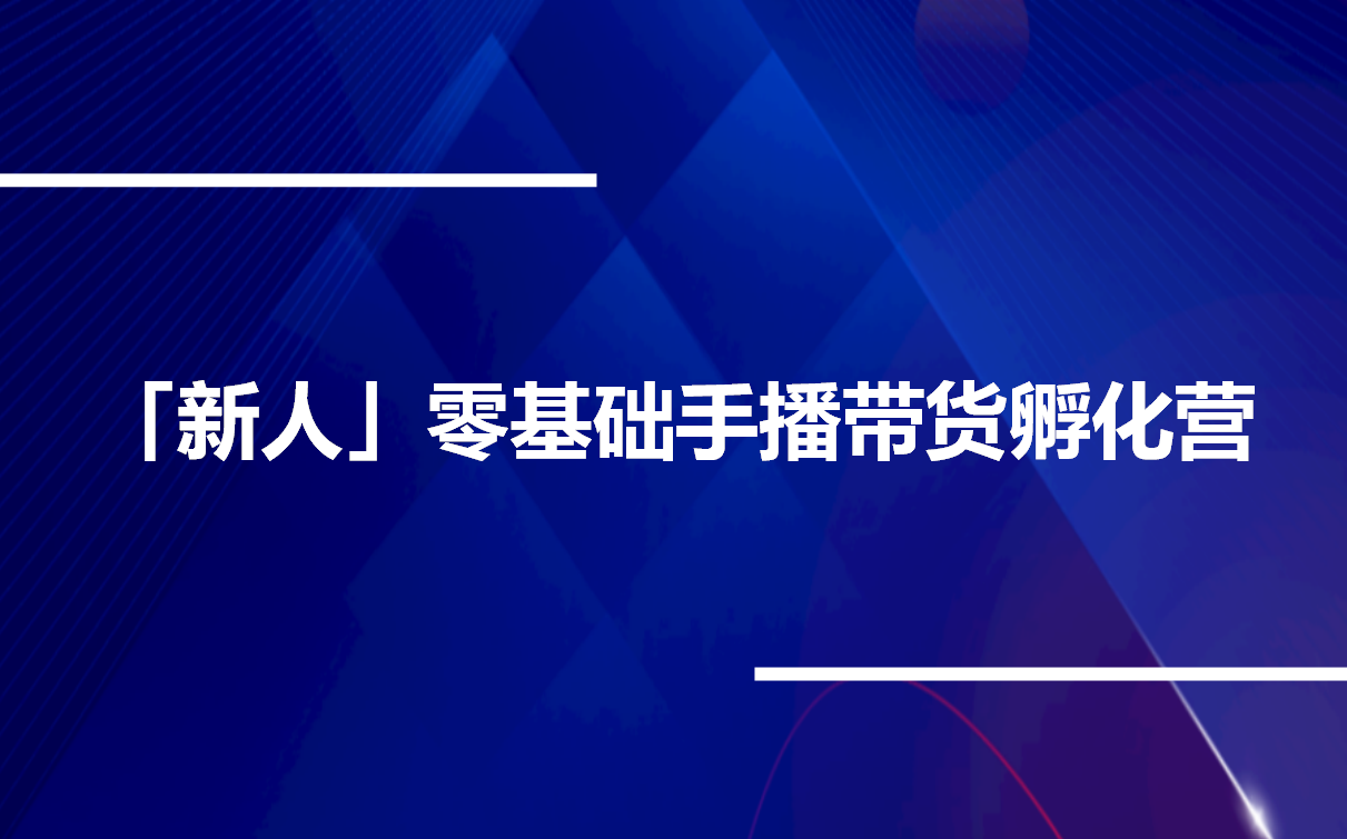 点金手年课，新人零基础手播带货孵化营，19节课程教程