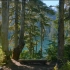 4K雷尼尔山国家公园-自然放松视频，夏季风景- 2小时