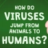 TED演讲：病毒是如何从动物传染给人类的？