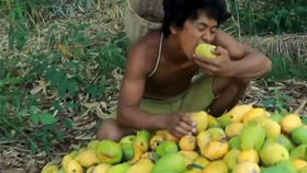 水果店的水果真丰富呀 34e2879cd8c3e53bc3f3979ece5512fca97ea453.jpg@280w_158h_1c_100q.jpg