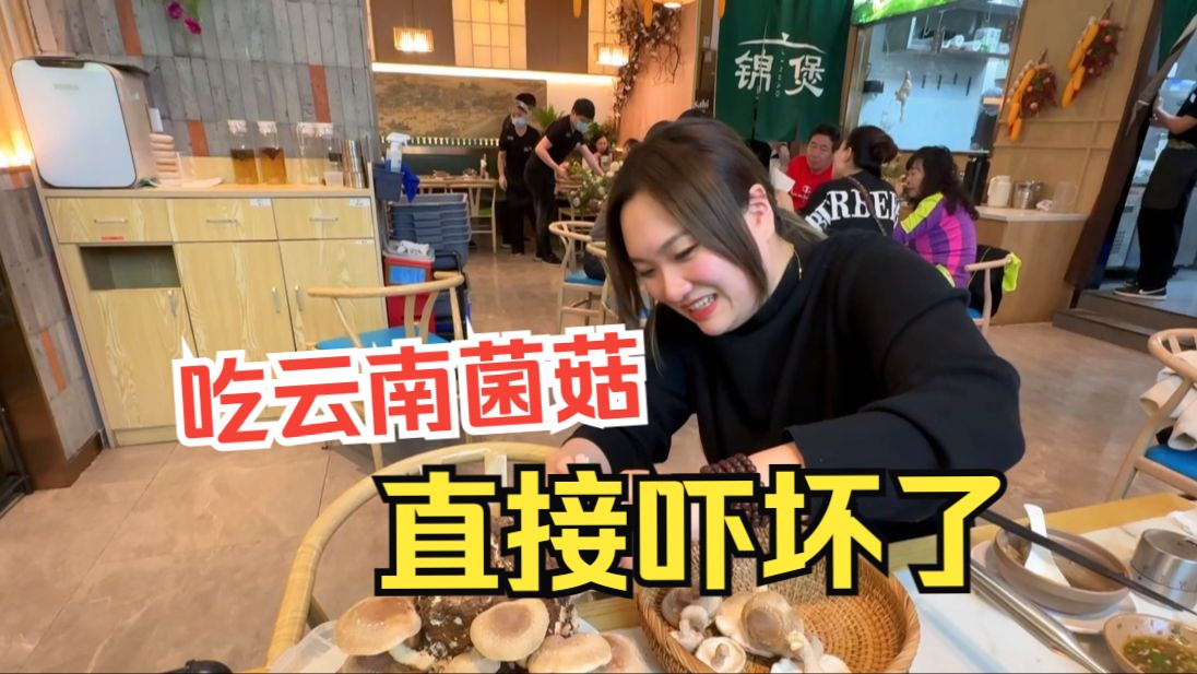 吃云南菌菇火锅前要留样本，把香港妹子吓坏了