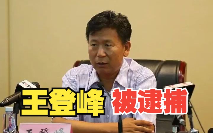 教育部体育卫生与艺术教育司原司长王登峰被逮捕
