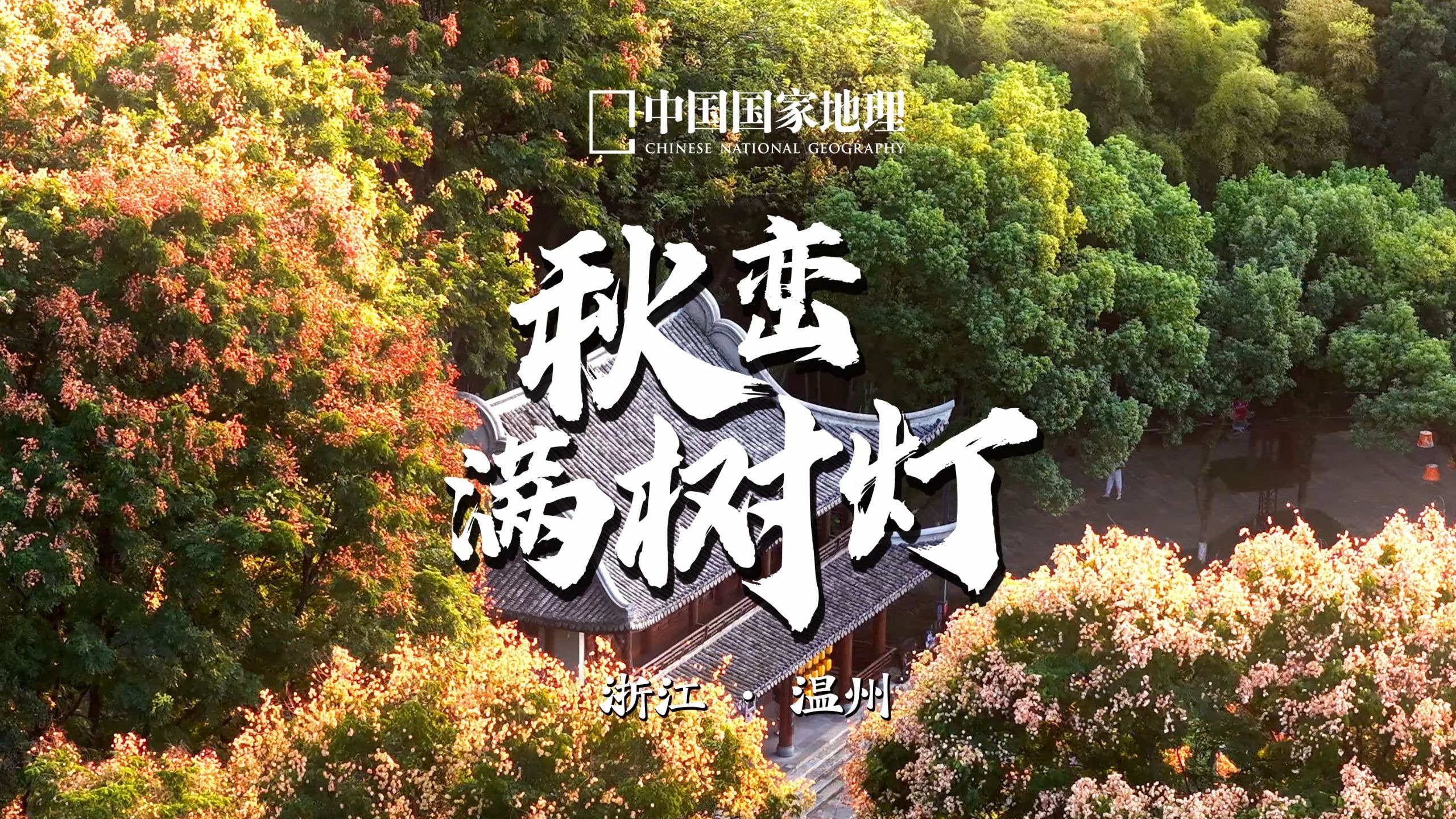 史铁生笔下的栾树，点亮江南深秋！