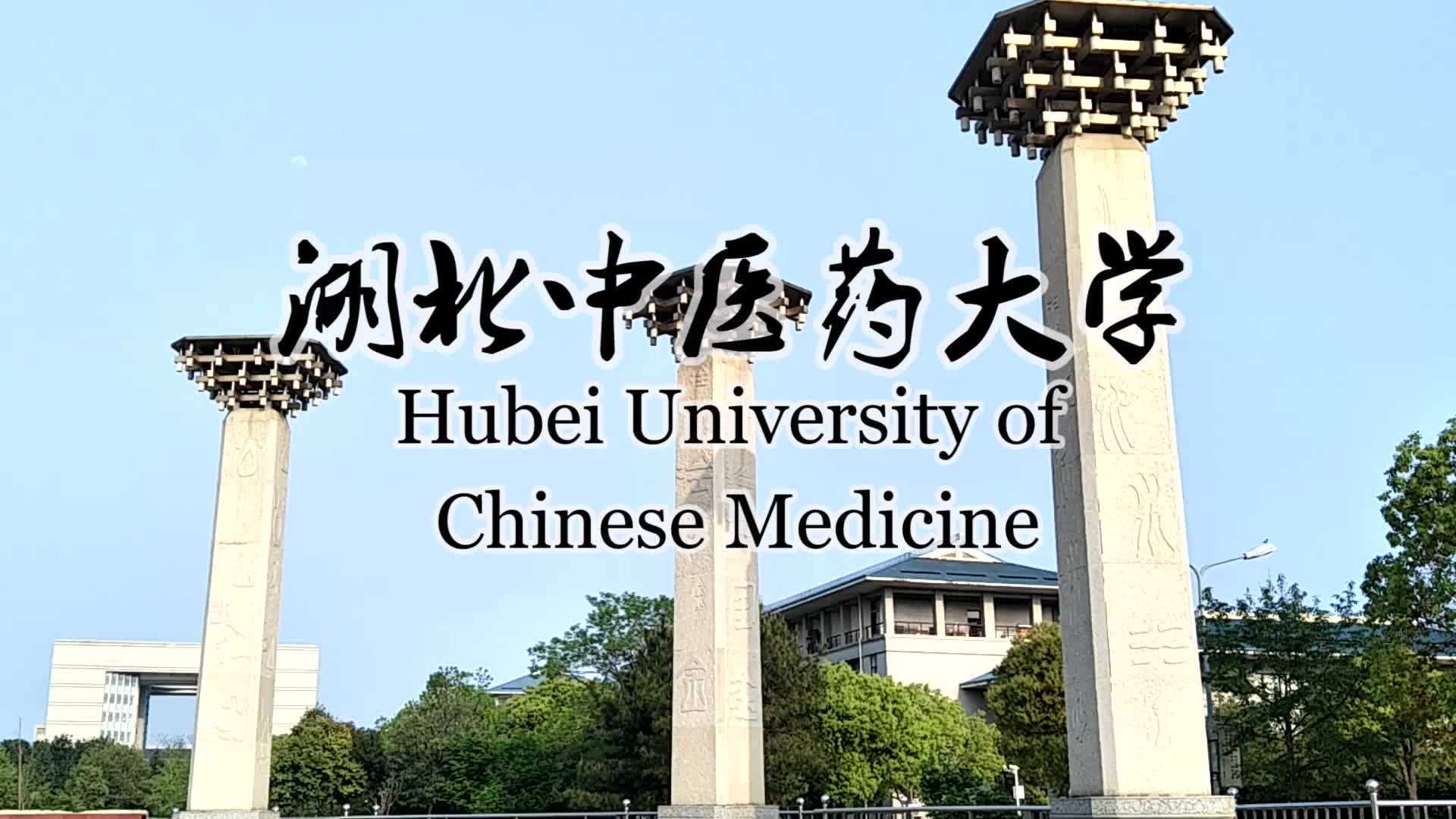 湖北中医药大学的春天