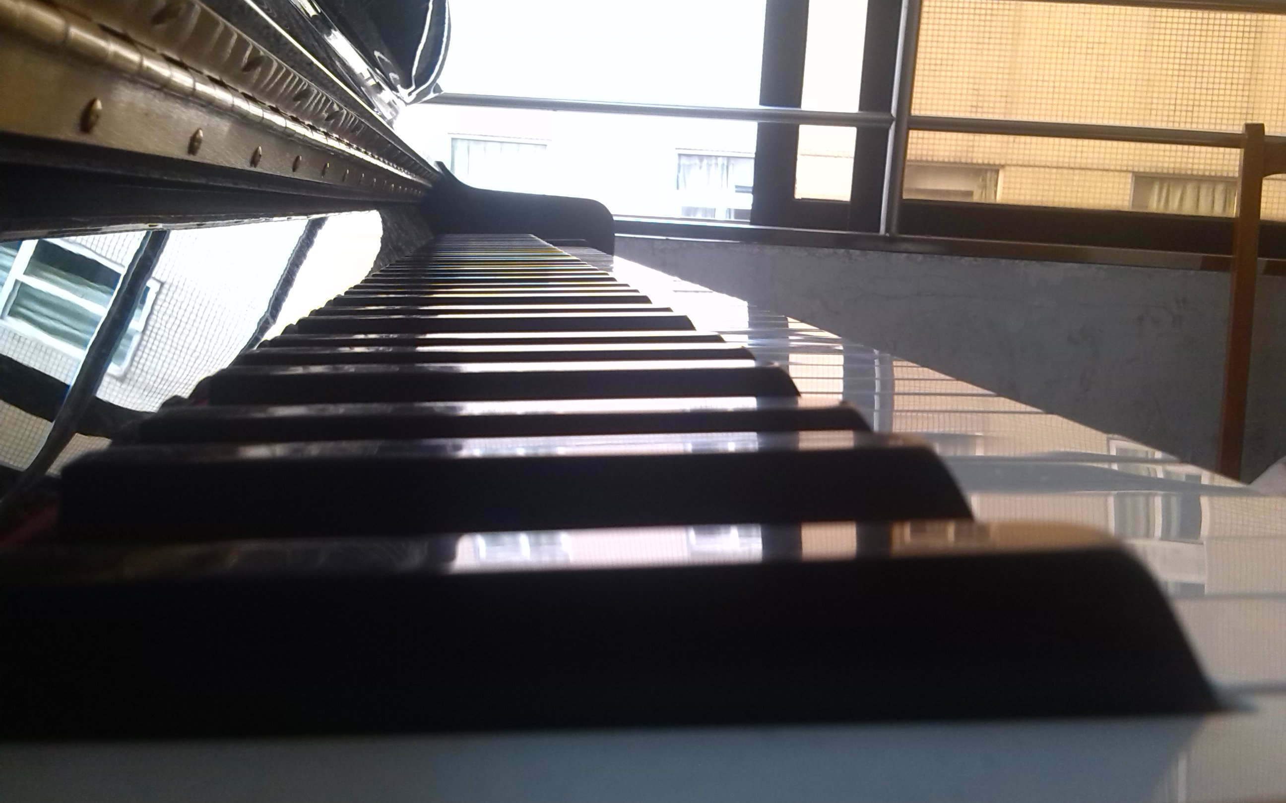 关于革命练习曲的视频合集