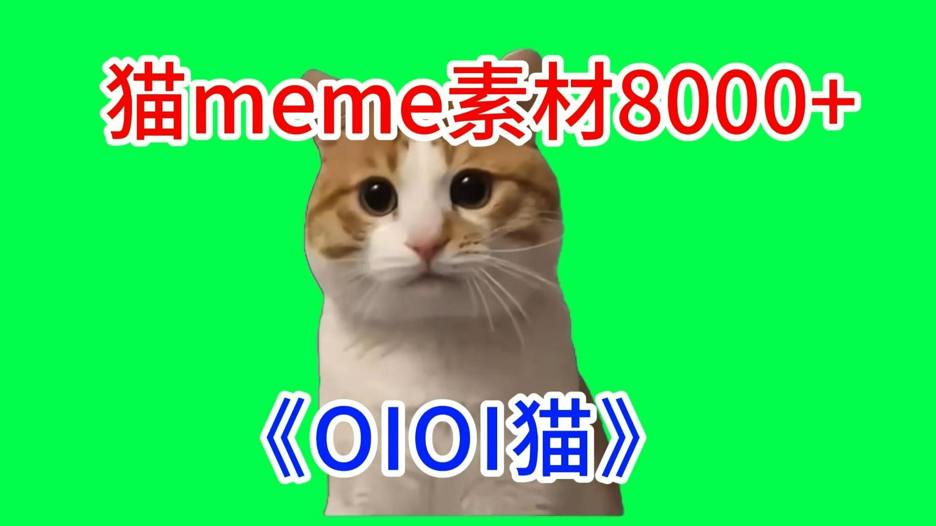 【OIOI猫！】猫meme绿幕素材完整分享～，猫meme素材整合分享，合集分享！