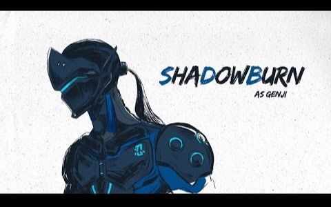 shadow,shadow图片 【碳黑忍者 shadowburn】shadowburn -playing genji
