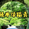 碓冰峠春游小记  云场池|旧轻井泽|熊野皇大神社|熊野神社|眼镜桥|齿轨铁道|碓冰湖|坂本宿|横川站