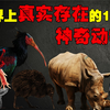 世界上真实存在的15种稀有动物，或许你从未见过，现在已濒临灭绝