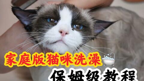 359d4e6a7360ced5291605fea1702c98215c38bc.jpg@480w_270h_1c