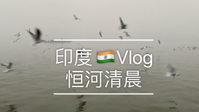 35a2fb77c16550fb1ce3bce56c627e8ab3ba0de1.jpg@280w_158h_1c_100q.jpg