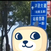 西安沣泾大道现状