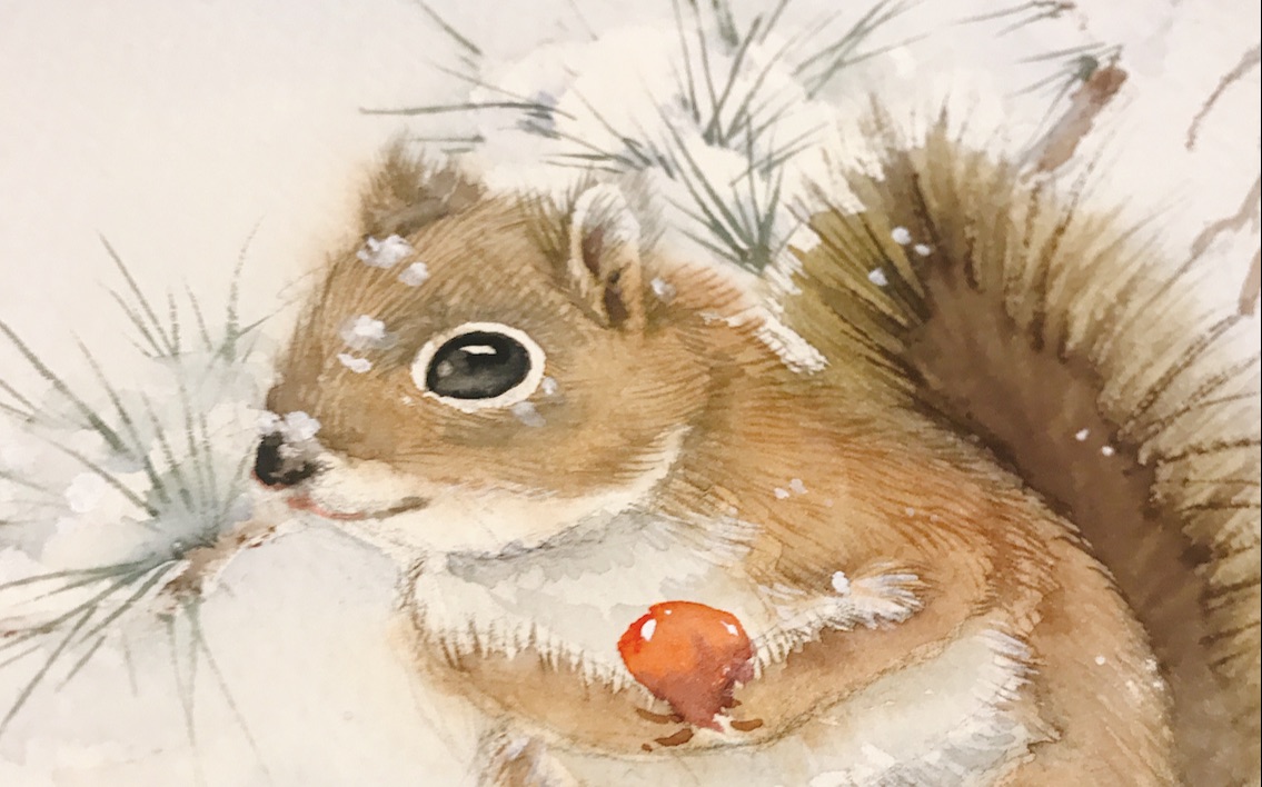 「水彩萌宠」雪地里呆萌的小松鼠绘制过程,直播回顾