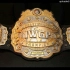 【完结】【NJPW】【特别策划】【科普向第∞弹】历代IWGP Heavyweight Championship戴冠合集